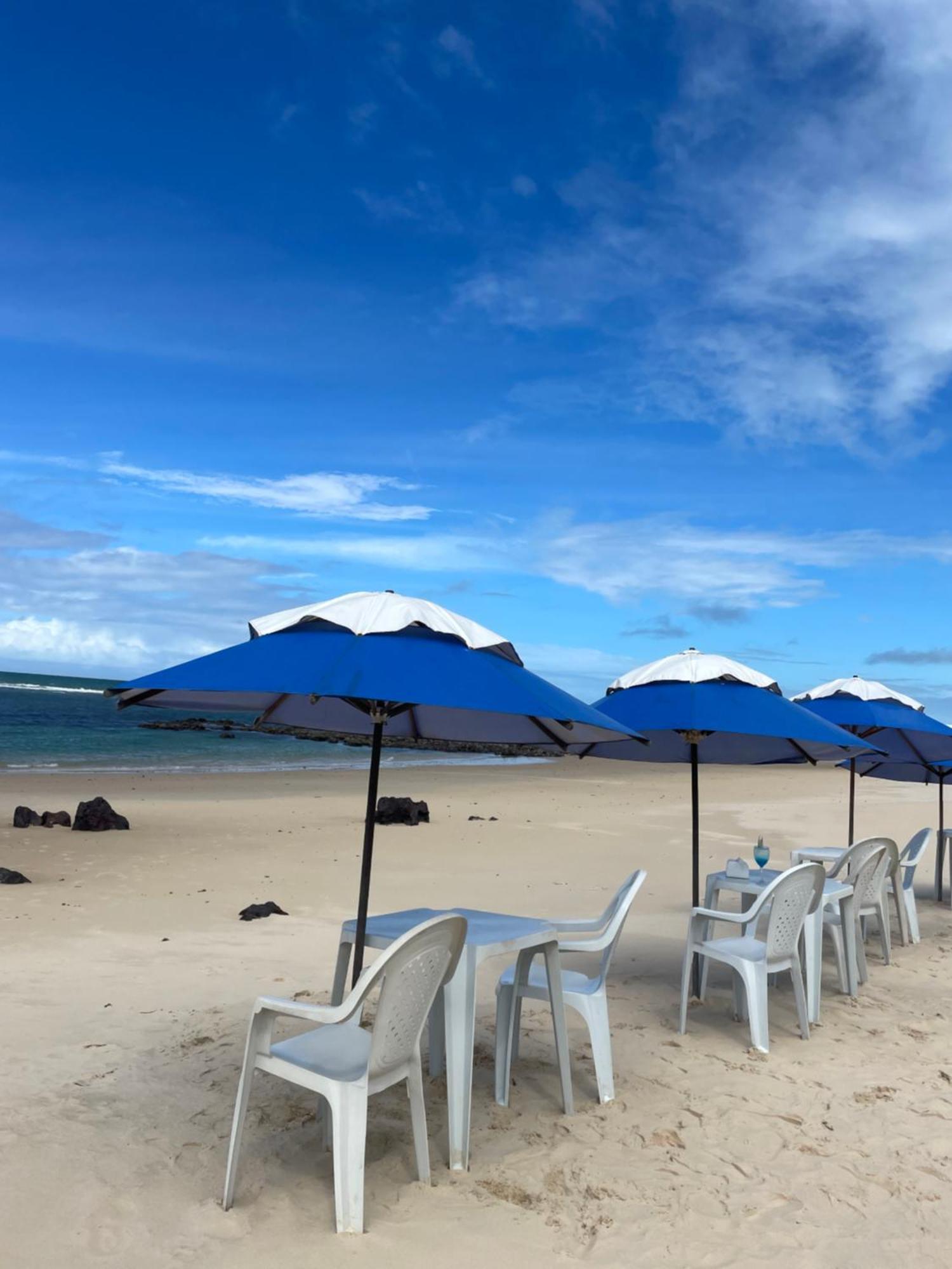 Tartarugas Tabatinga (Rio Grande do Norte)